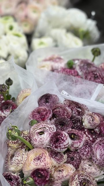 Did you spot the peonies … I’m not saying I would buy them in January but I did spot them this week at the flower market. 

Take this as a reminder that if you are planning a winter wedding don’t be scared about what flowers are available for your wedding flowers. There are plenty to choose from. And your wedding florist can help you choose. 
 
Which are your favourites?